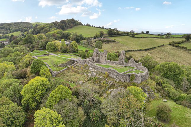 -68Dd639687307-13...