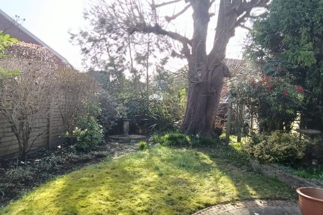 6 Beech Tree Drive, Farnham photo 5