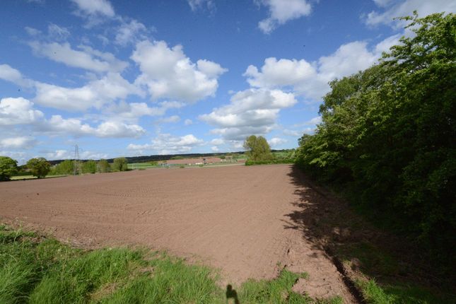 Land for sale in A41, Stableford
