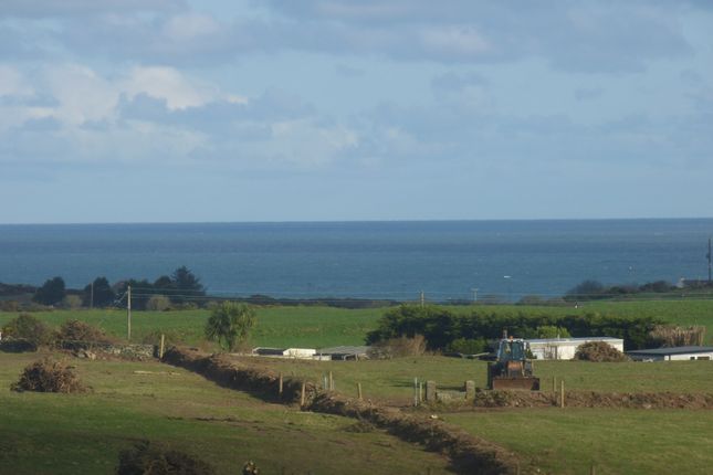 Far Reaching Sea Vie