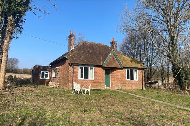 Thumbnail Bungalow to rent in Compton, Chichester, West Sussex
