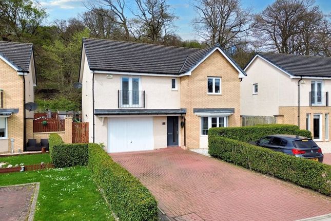 Thumbnail Detached house for sale in Tamrawer Row, Kilsyth, Glasgow