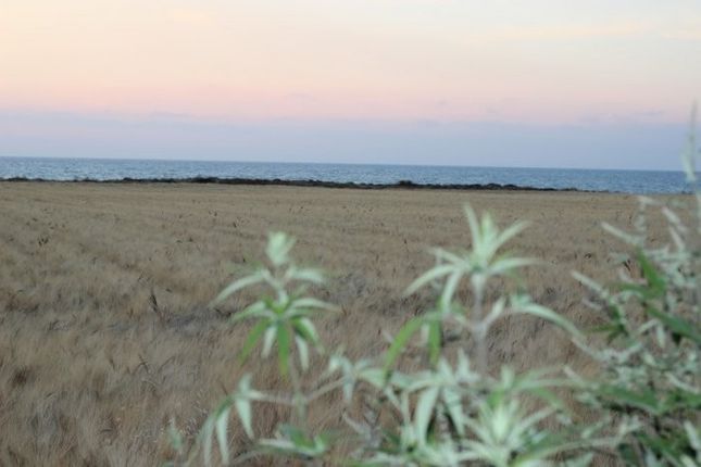 Land for sale in Polis, Pafos, Cyprus