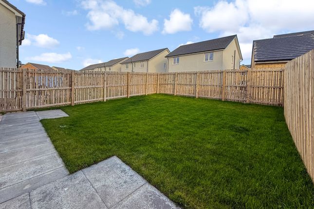 59 Holstein Avenue, Hamilton photo 4