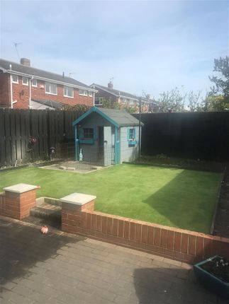 Garden 2.Jpg