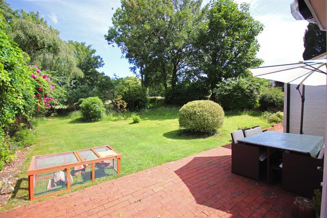 Garden.Jpg