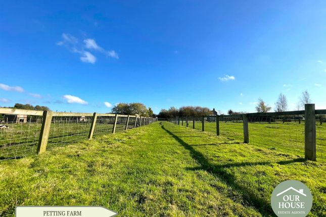 Paddocks And Animal Housing