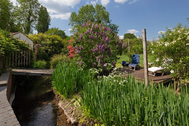 Hakka's Brook