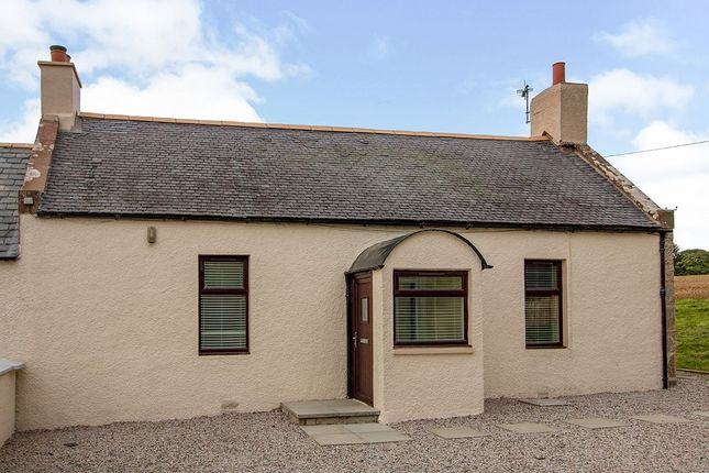 Thumbnail Bungalow to rent in Marykirk, Laurencekirk, Kincardineshire