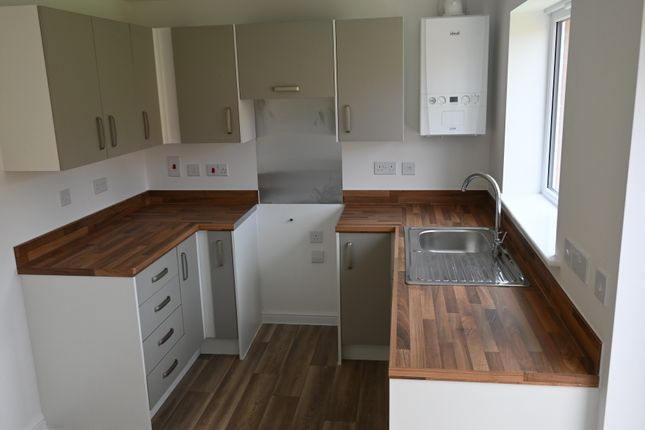 Thumbnail Property to rent in Water Rail Road, Langold, Worksop