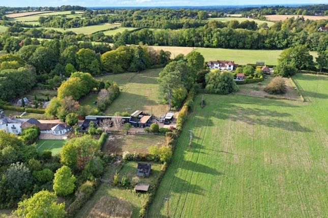 Ridgeway Lodge,, Runwick, Farnham photo 4
