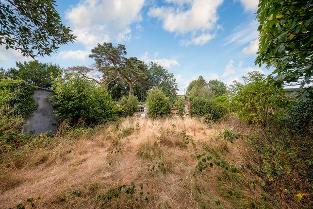 24a, Palace Road, East Molesey photo 2