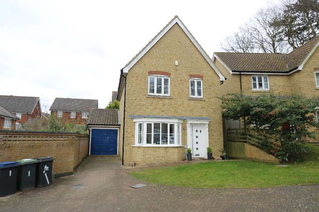 Thumbnail Detached house to rent in Redwood Close, Canterbury