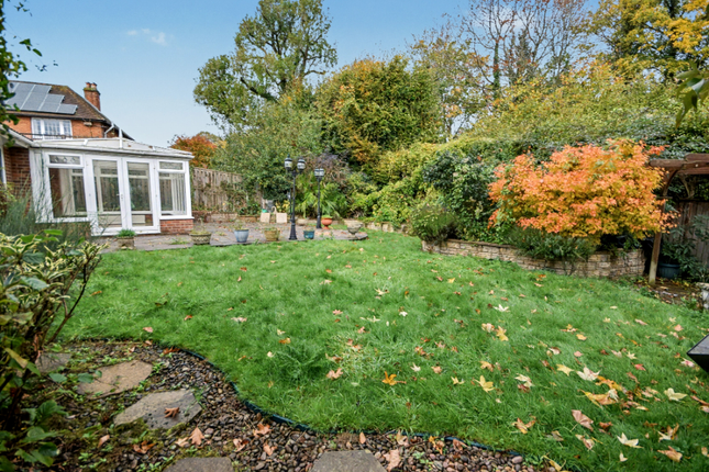 3, Byworth Close, Farnham photo 4