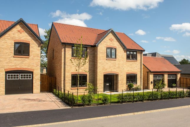 Showhome Photography