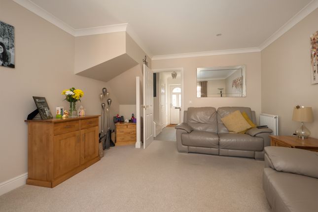 15 Cormorant Way, Herne Bay photo 3