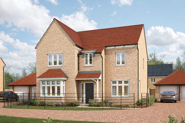 Thumbnail Detached house for sale in "The Birch" at Off A1198/ Ermine Street, Cambourne