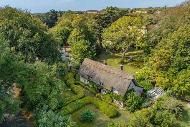 Norton Thatch, Halletts Shute, Yarmouth photo 3