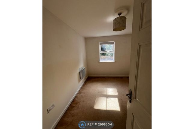 Cirrus Drive, Shinfield, Reading photo 5