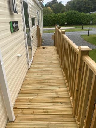 Braidhaugh Holiday Park, South Bridgend, Crieff photo 3
