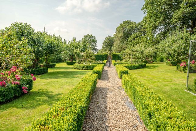 Orchard