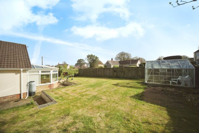 Detached bungalow for sale in Honiton Road, Churchinford, Taunton
