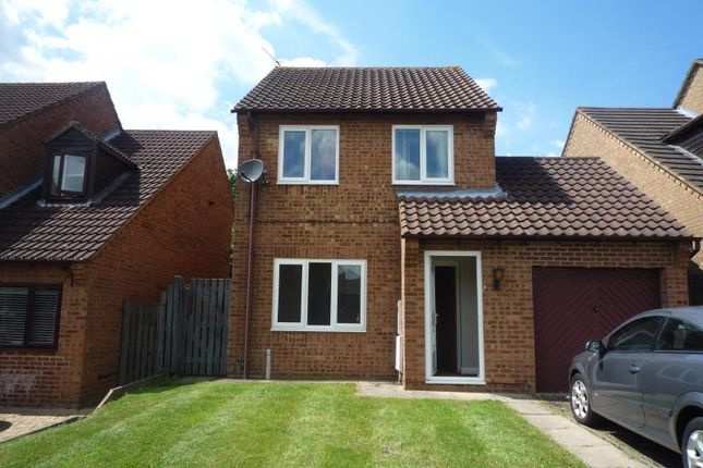 Thumbnail Detached house to rent in Little Meadow, Great Oakley, Corby