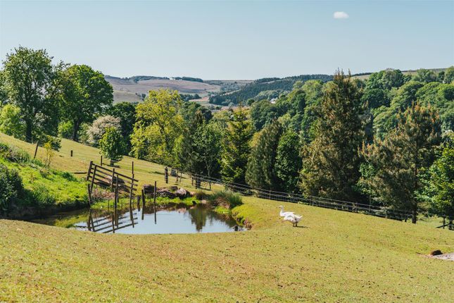 Exterior - Cow Close Farm