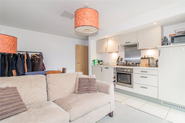 Kitchen/Living Area