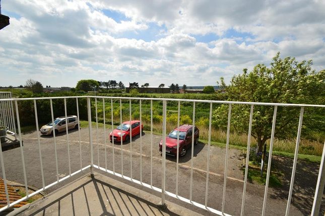 54, Rotunda Road, Eastbourne photo 4