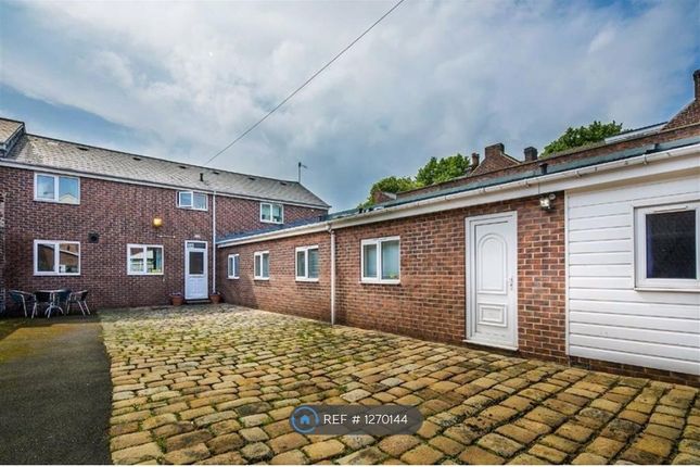 Thumbnail Semi-detached house to rent in Rosedale Road, Sheffield