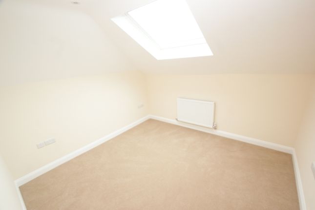 Whitetree House (F4), North View photo 5