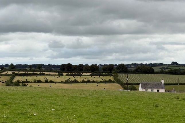 Y Bryn, Horeb, Llandysul photo 3