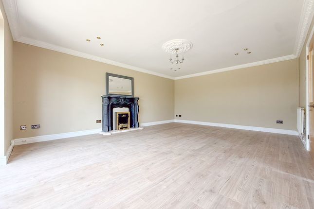Park View Bungalow Hill Street, Tredegar photo 3