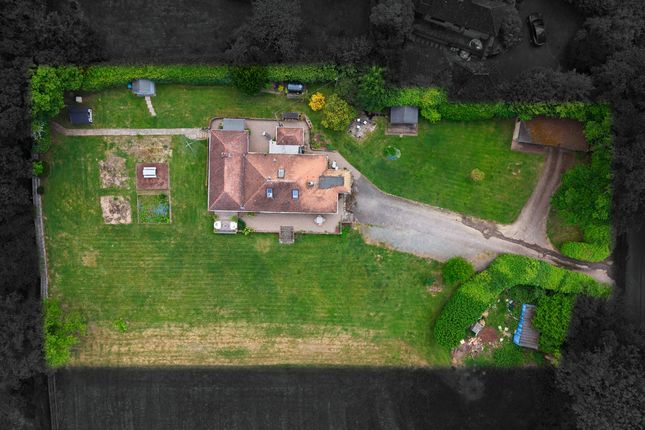 The Fords, Bonfire Hill, Horsham photo 4