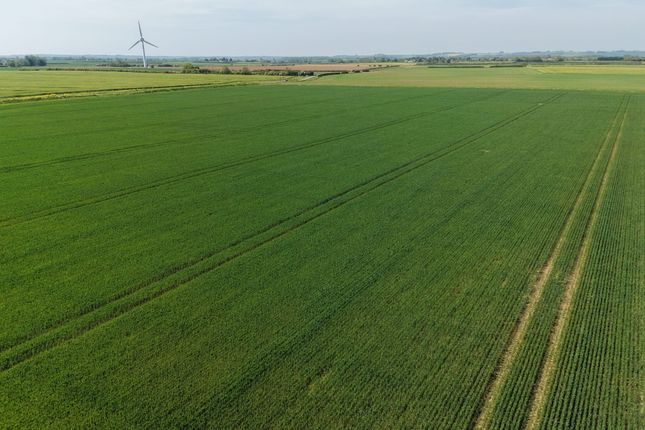 Lot 3 - 29.16 Acres (11.80ha) of Grade 3 Arable La, Austen Fen, Louth photo 2