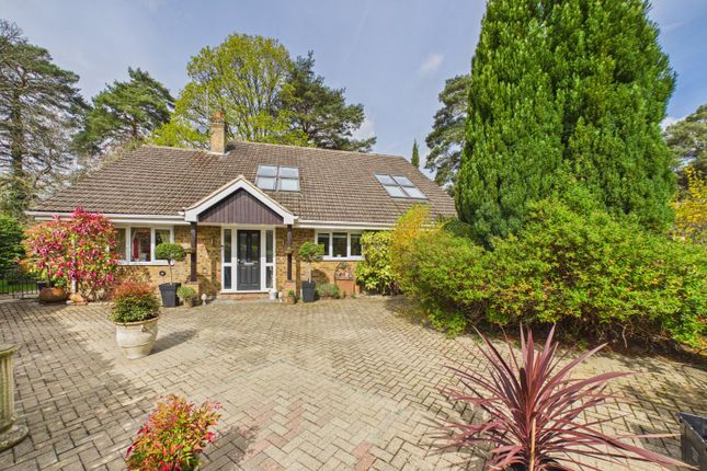 1, Highway, Crowthorne photo 2