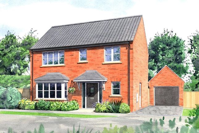 Thumbnail Detached house for sale in Park View, Beresford Road, Holt