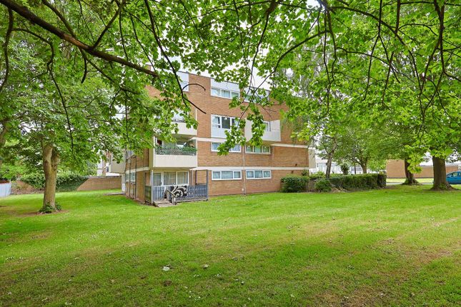 Apartment Block And Grounds