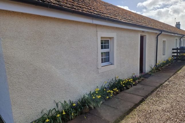 Thumbnail Cottage to rent in Ormiston, Tranent, East Lothian