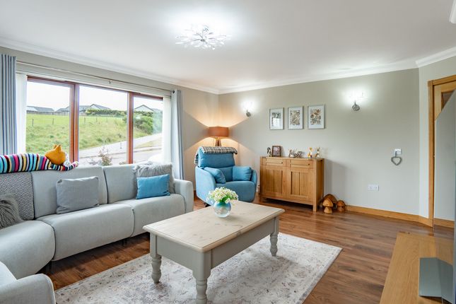 2, Murray Crescent, Huntly photo 4
