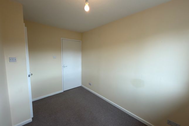 26, Taunton photo 5