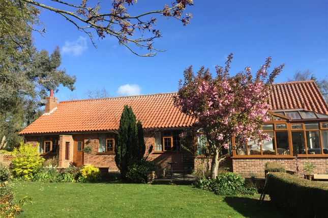 Thumbnail Bungalow for sale in Shelton Firs And Land, Hillam Common Lane, Hillam