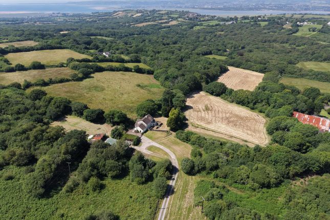 Hendy Farm, Three Crosses, Swansea photo 3