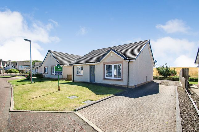 Thumbnail Detached house for sale in Gilmours Avenue, Blackford, Auchterarder
