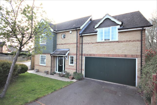 Thumbnail Detached house for sale in Darwell Close, St Leonards-On-Sea