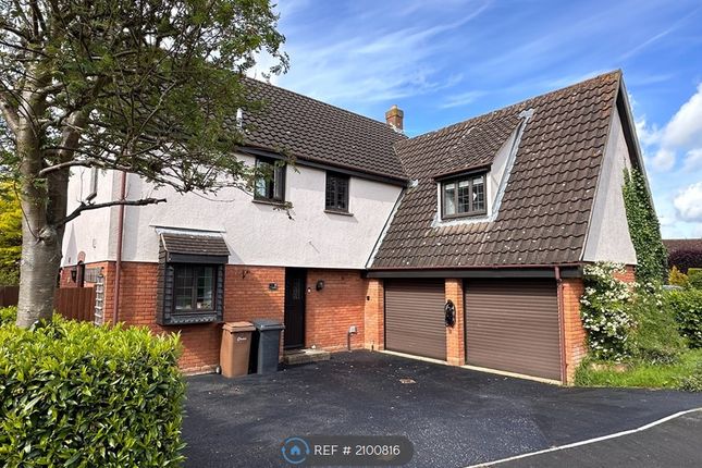 Thumbnail Detached house to rent in Acres End, Chelmsford
