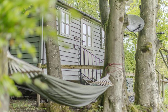 Lavender Retreat