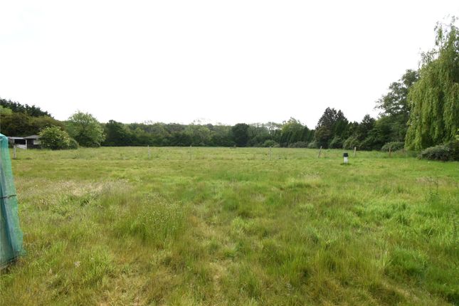 Taylor North,, Broad Oak, Hook photo 3