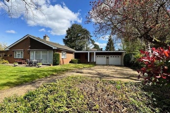 Thumbnail Bungalow for sale in Russell Close, Walton On The Hill, Tadworth